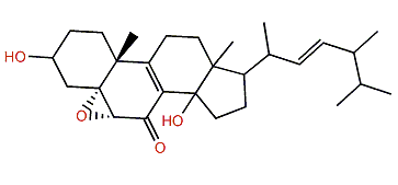 Gargalol C